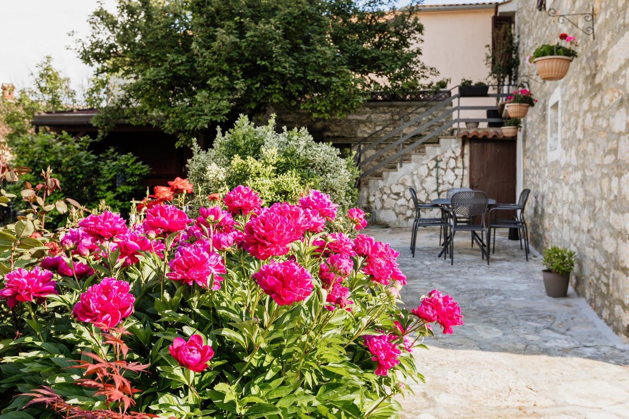 Apartments Mirna Stress Free Babici Exterior photo